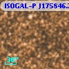 ISOGAL-P J175846.7-290919