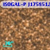 ISOGAL-P J175851.5-291025