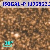 ISOGAL-P J175852.7-290038
