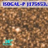 ISOGAL-P J175853.1-290056