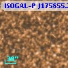 ISOGAL-P J175855.7-290940