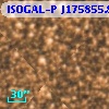 ISOGAL-P J175855.8-290235