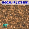 ISOGAL-P J175856.1-290517