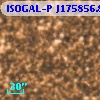 ISOGAL-P J175856.8-290845