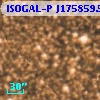 ISOGAL-P J175859.5-290138