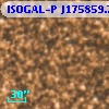 ISOGAL-P J175859.7-290542