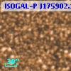 ISOGAL-P J175902.1-290028