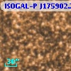 ISOGAL-P J175902.2-285717