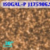 ISOGAL-P J175906.9-290703
