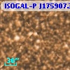 ISOGAL-P J175907.3-290105