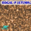 ISOGAL-P J175908.7-285913