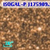 ISOGAL-P J175909.1-290256