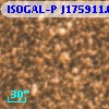 ISOGAL-P J175911.0-291015