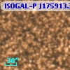 ISOGAL-P J175913.3-291216