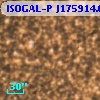 ISOGAL-P J175914.6-290648