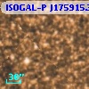 ISOGAL-P J175915.3-290344