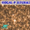 ISOGAL-P J175916.5-285934