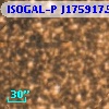 ISOGAL-P J175917.5-290540