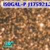 ISOGAL-P J175921.2-290009