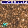 ISOGAL-P J175922.5-290340