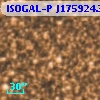 ISOGAL-P J175924.3-290843