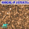 ISOGAL-P J175925.4-290100