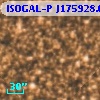 ISOGAL-P J175928.0-290845