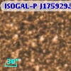 ISOGAL-P J175929.5-291201