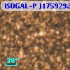ISOGAL-P J175929.5-290716