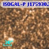 ISOGAL-P J175930.3-290140