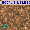 ISOGAL-P J175935.3-290832