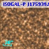 ISOGAL-P J175938.8-290659