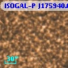 ISOGAL-P J175940.6-290707
