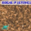ISOGAL-P J175942.9-290425