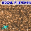 ISOGAL-P J175944.9-290403