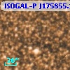 ISOGAL-P J175855.1-290036