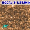 ISOGAL-P J175904.0-290405