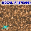 ISOGAL-P J175906.4-285827