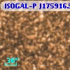 ISOGAL-P J175916.5-290223