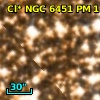 Cl* NGC 6451     PM      11
