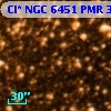 Cl* NGC 6451    PMR     391