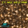 Cl* NGC 6451    PMR      38