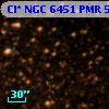 Cl* NGC 6451    PMR      53