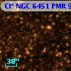 Cl* NGC 6451    PMR      55