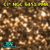 Cl* NGC 6451    PMR     132