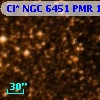 Cl* NGC 6451    PMR     138