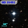 HD  18491