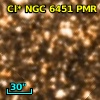 Cl* NGC 6451    PMR     217