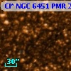 Cl* NGC 6451    PMR     226
