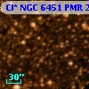 Cl* NGC 6451    PMR     244